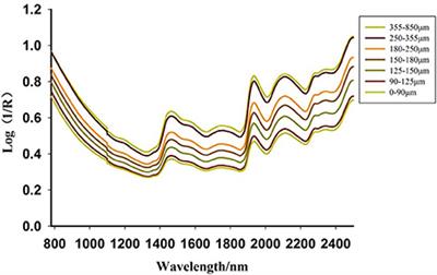 Discovery of the Linear Region of Near Infrared Diffuse Reflectance Spectra Using the Kubelka-Munk Theory